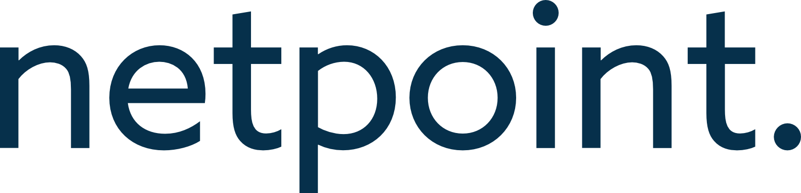 Netpoint Logo