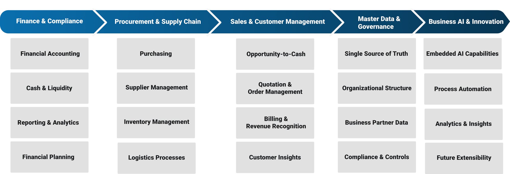 QPPS Infographic Walldorf Consulting GROW Fast Functions-1